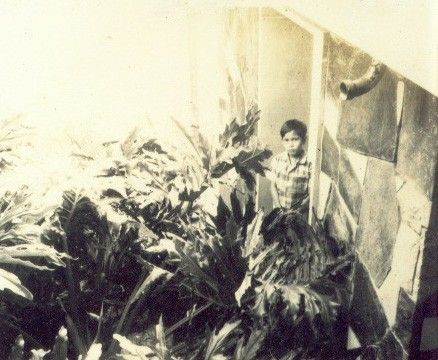 [Rumah Silaban]