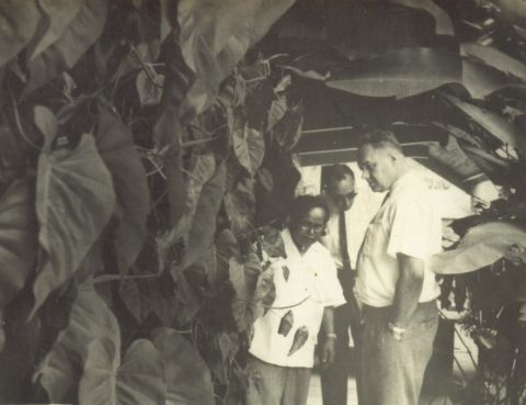[Rumah Silaban]