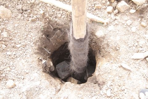 The Construction of The Third Phase