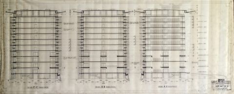 Herbarium Djl Raja Bogor no.22/24 Bogor.