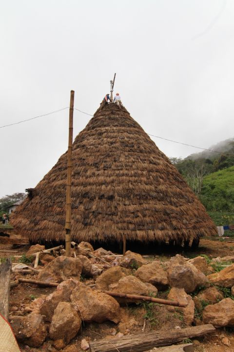 The Construction of The Third Phase