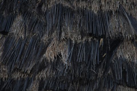 Details Comparison