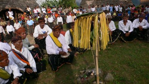 Penti The New Year Celebration