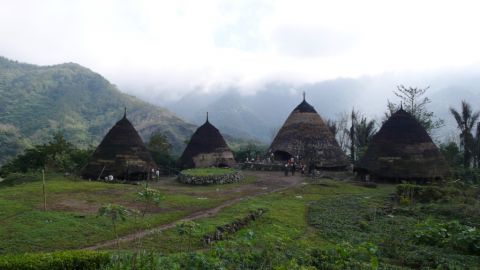 The First Phase of The Conservation