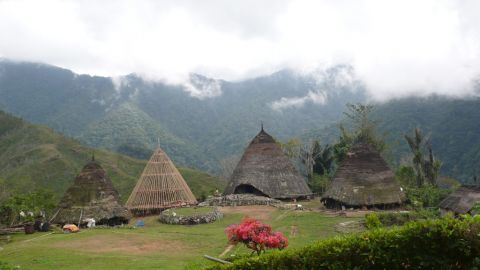 The First Phase of The Conservation